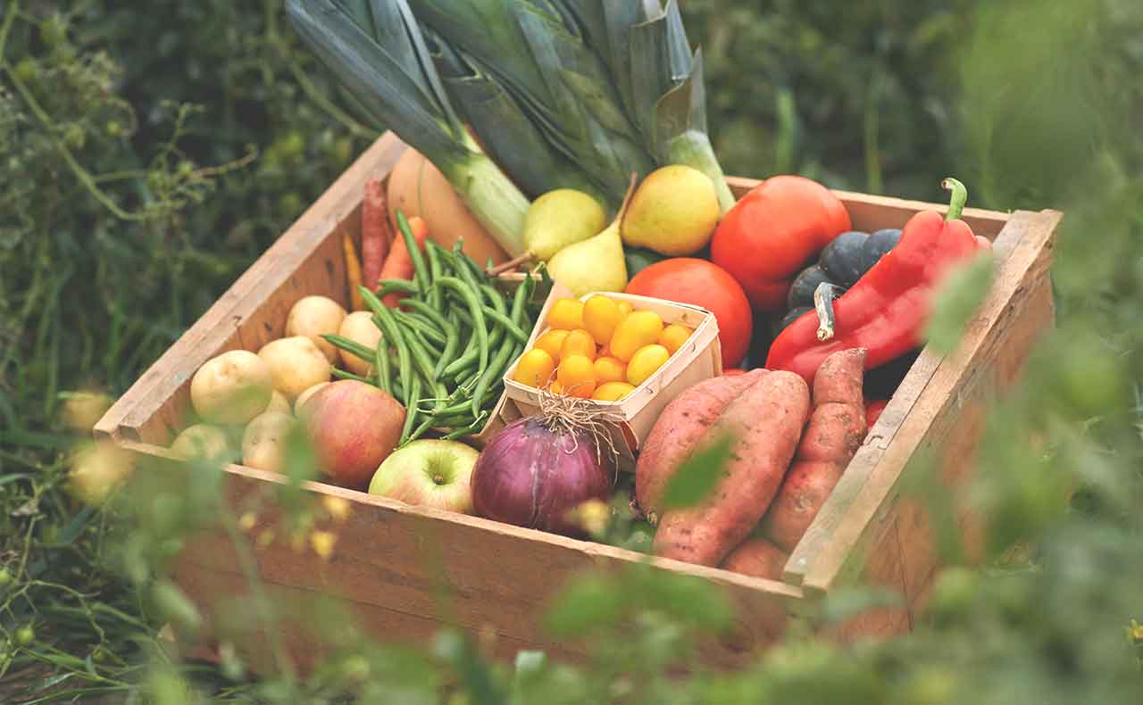 Eine Kiste mit frischem Obst und Gemüse vom Feld