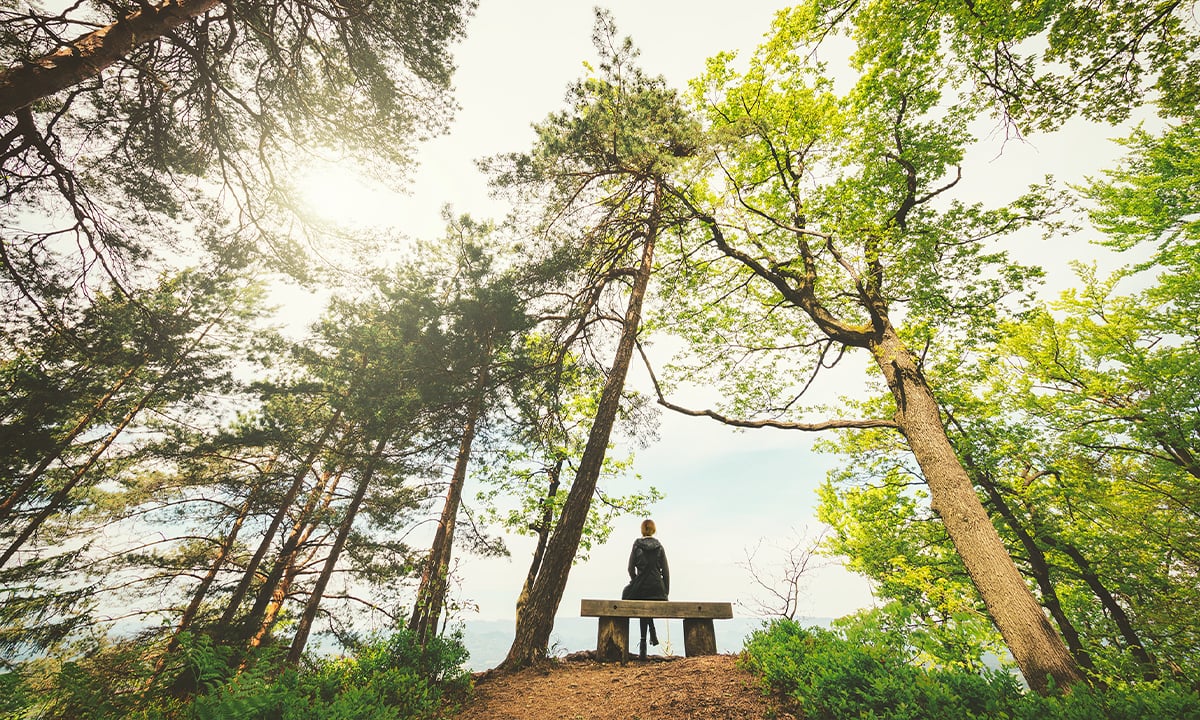 Person sitzt auf einer Bank im Wald