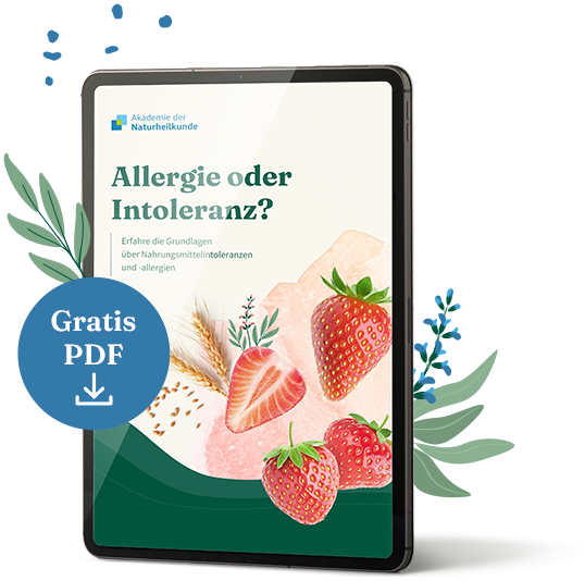 Gratis PDF: Ratgeber Lebensmittelintoleranzen und Allergien