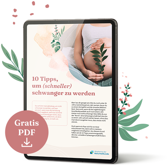 Tablet mit PDF für Schwangerschaftstipps