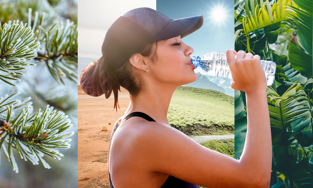 Frau trinkt aus Wasserflasche vor Hintergrund mit vier Klimazonen (Winterlicher Nadelwald, Wüste, Berge, Tropenwald)