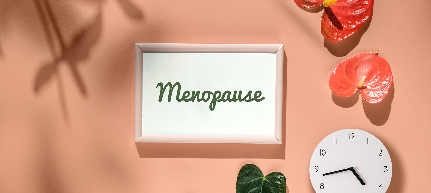 Bilderrahmen mit Schriftzug Menopause