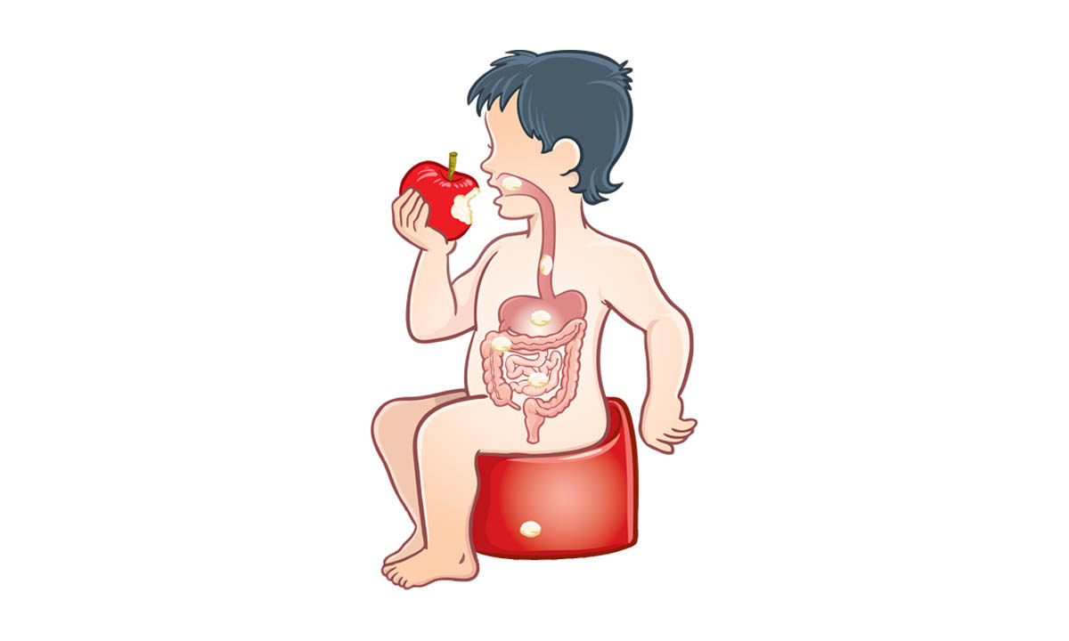 Kind sitzt essend auf einem Töpfchen. Abgebildet ist der Weg der Nahrung innerhalb des Verdauungstraktes.