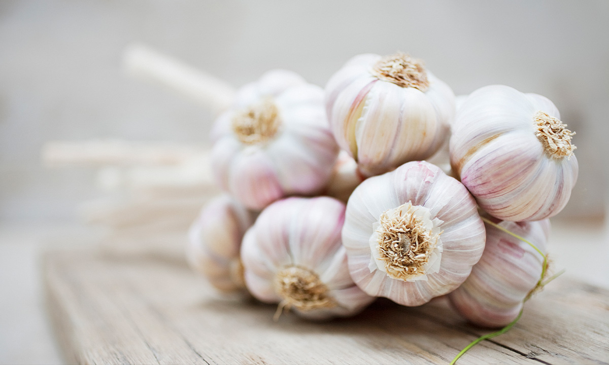 Knoblauch