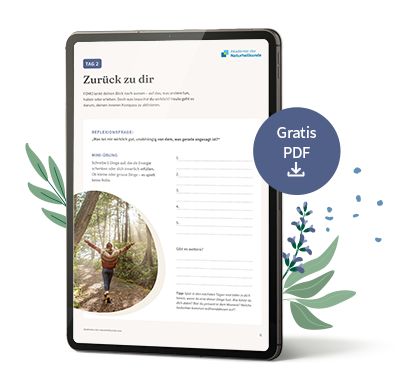 Goodie: 5-Tage-Journal „Raus aus der FOMO-Spirale“