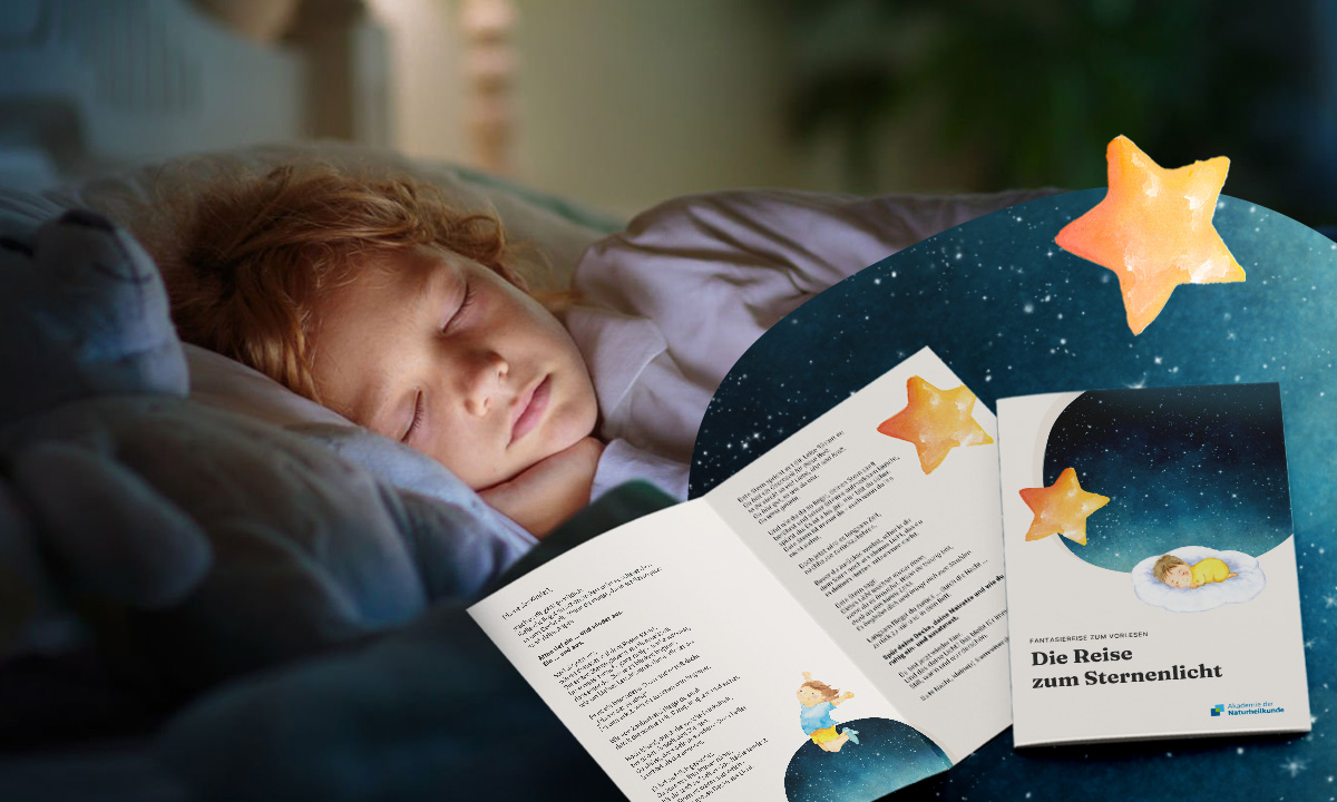 Schlafendes Kind + gratis Fantasiereise