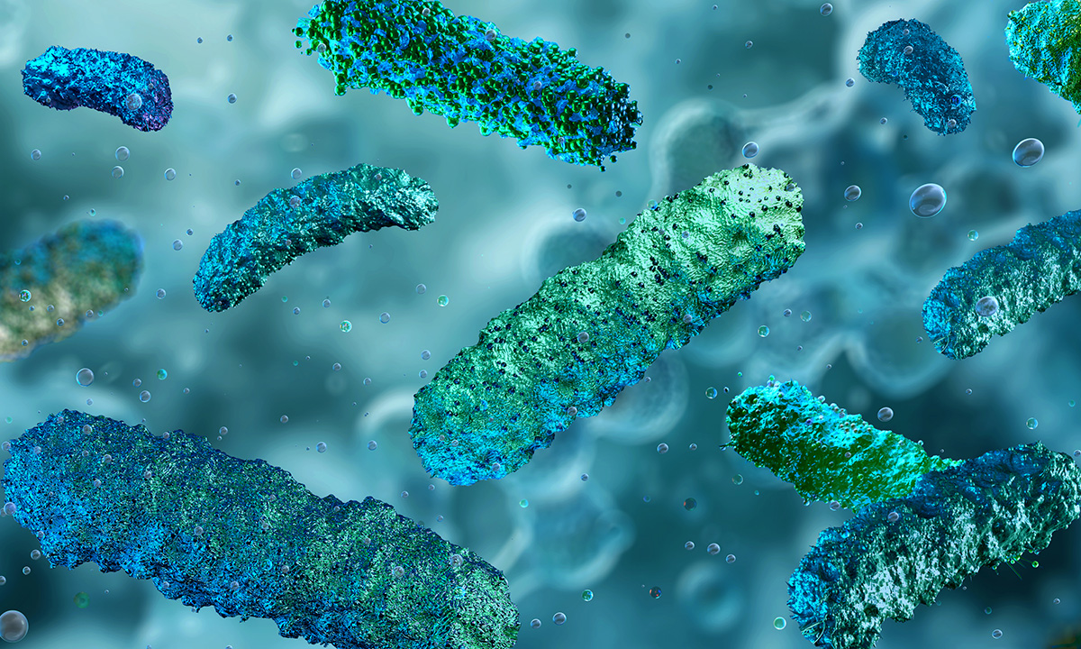 Bild von Darmbakterien