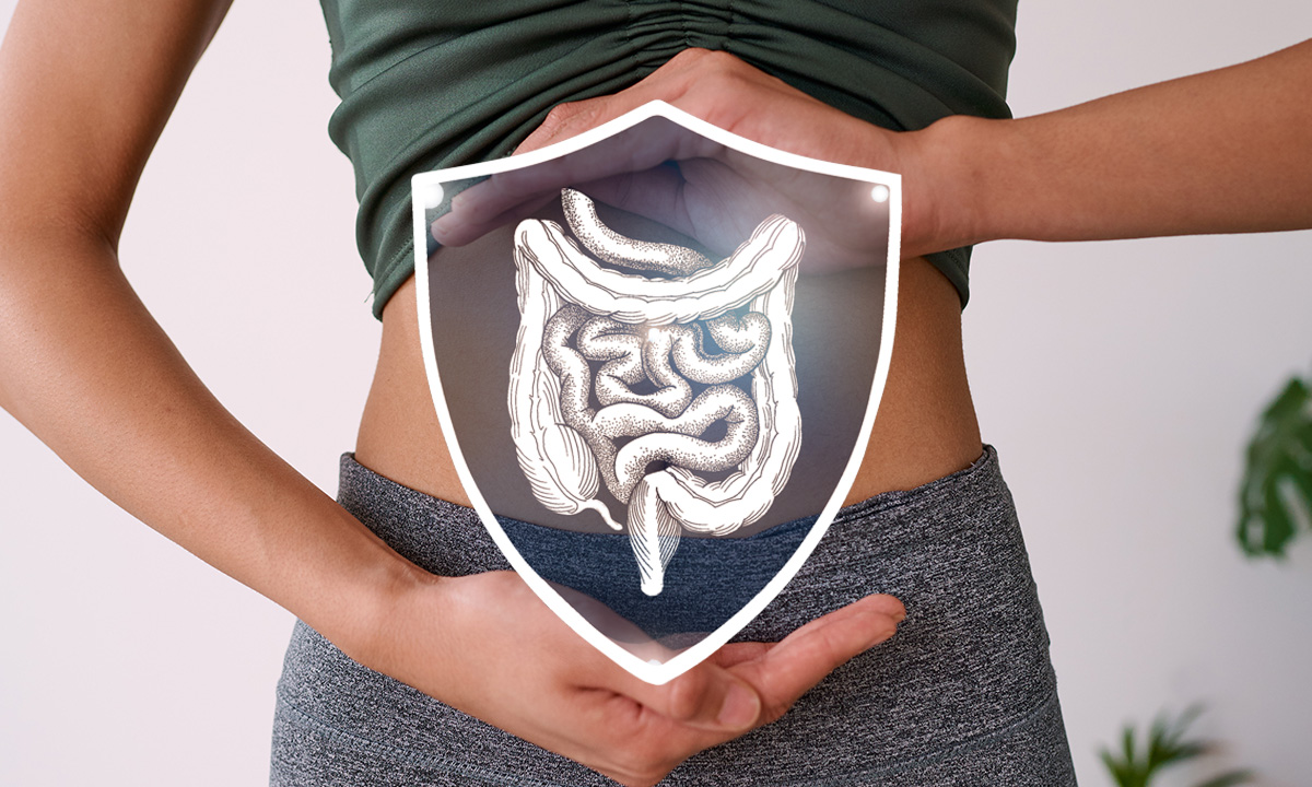 Bild eines Darms im Rahmen eines Schutzschildes.