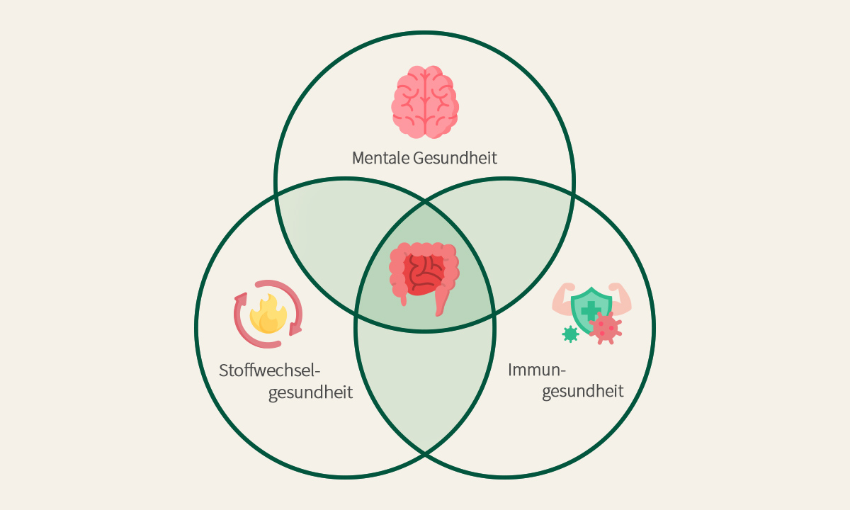 Überlappende Kreise, die die Begriffe Mentale Gesundheit, Stoffwechselgesundheit und Immungesundheit enthalten. In der Mitte befindet sich ein Darm-Symbol.