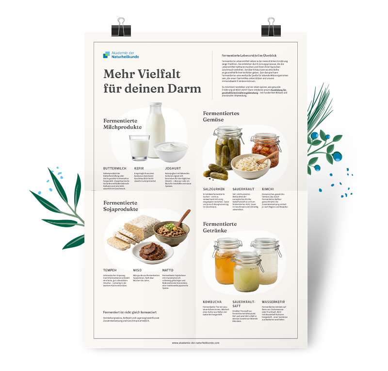 Darmvielfalt-Poster als Goodie gratis downloaden