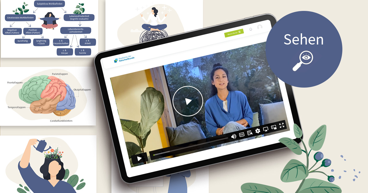 Videos und Bilder zur Veranschaulichung der Lerninhalte