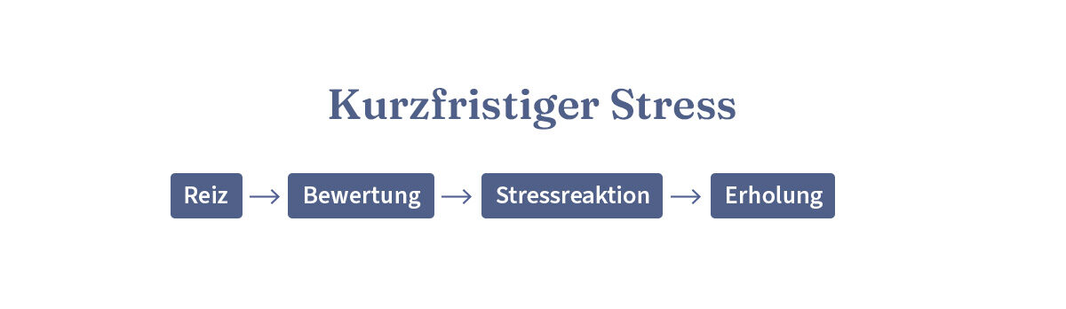 Grafik: Kurzzeitiger Stress