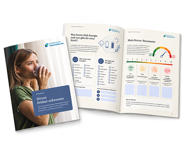 Stress-Workbook
